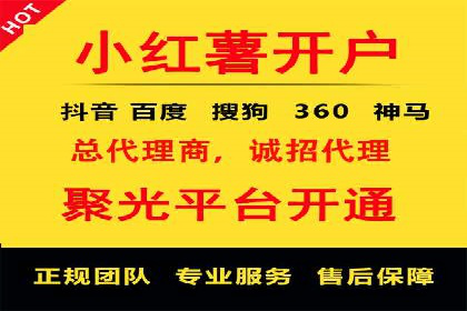 百度SEO推广公司案例分析：成功案例解析